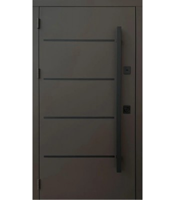 Двері Qdoors серія Стріт Горизонт фарба 8019