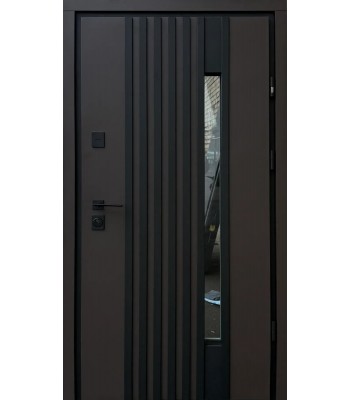 Вхідні двері Берез стріт RIO P LOFT RAL 8019