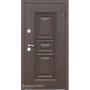 Дверь "Steelguard" серия NORD+ TERMOSKIN LIGHT УЛИЦА